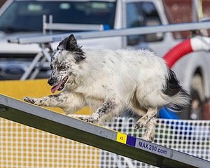 20230916-PVKC-1647.jpg