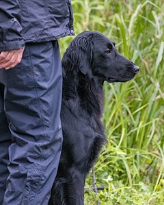 Ziva Millikin