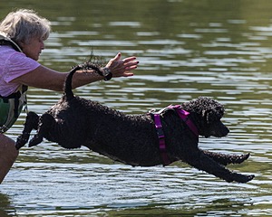Tango Abruzzese
