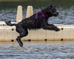 Winnie Lattrell