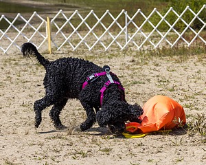Tango Abbruzzese