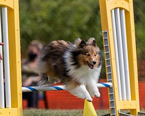 20200819-1098.jpg