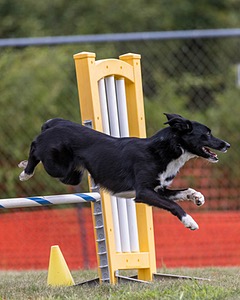 20200819-1168.jpg