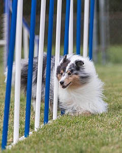 20200819-2090.jpg