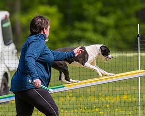 20170521-NEAT-0339.jpg