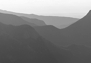 20200622-3174.jpg