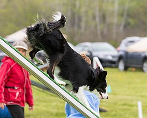 20160515-NEAT-0389.jpg