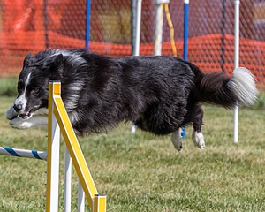 20200819-0860.jpg