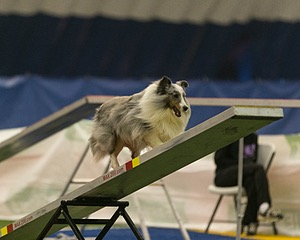 20150321-LEAP-1406.jpg