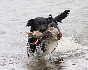 20080531-HRW-0514.jpg