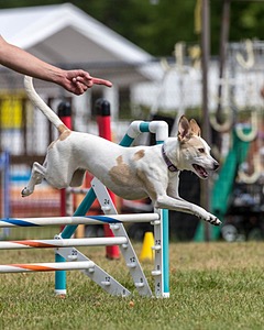 20200819-1214.jpg