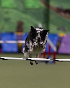 20260221-0215.jpg
