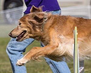 20230916-PVKC-1303.jpg