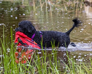 20210912-MWD-0173.jpg