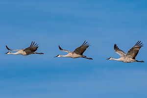 20151210-0644.jpg