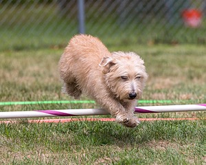 20200819-1779.jpg