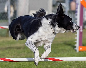 20230916-PVKC-1624.jpg
