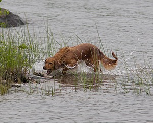 20080531-HRW-0242.jpg