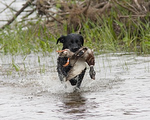 20080531-HRW-0505.jpg