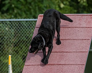 20200819-0183.jpg