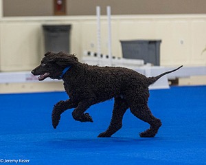 20240522-FT-0144.jpg