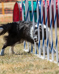 20160618-CCKC-1784.jpg