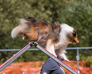 20200819-2323.jpg