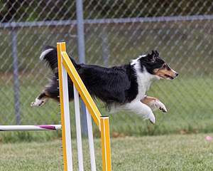 20200819-1946.jpg