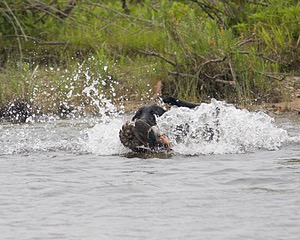 20080531-HRW-0867.jpg