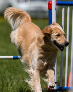 Ollie Erbe