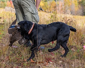 20191013-WCL-0026.jpg