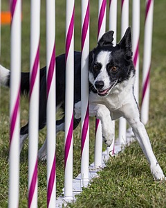 20230916-PVKC-1467.jpg