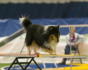 20150321-LEAP-0649.jpg