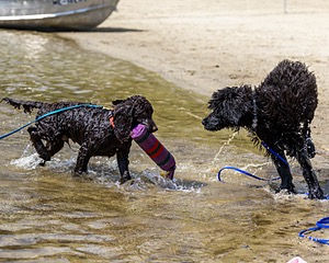 20250914-C-0016.jpg