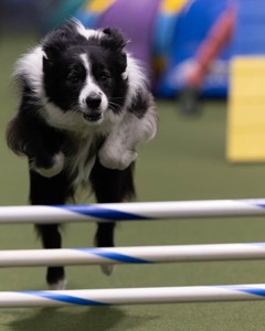 20260221-0741.jpg