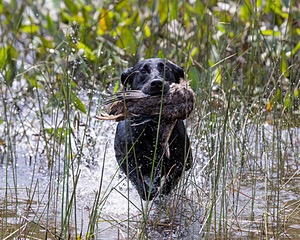 20210807-SHW-0116.jpg