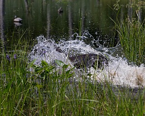 20140809-JHW-0044.jpg