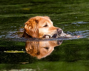 20160604-SEAW-1016.jpg