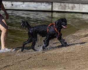 Ziva Hyres