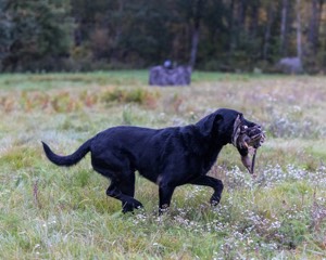 20211010-WCXL-0175.jpg