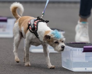 20260718-NSKC-0356.jpg