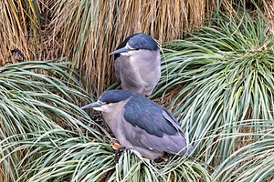 20191214-0379.jpg