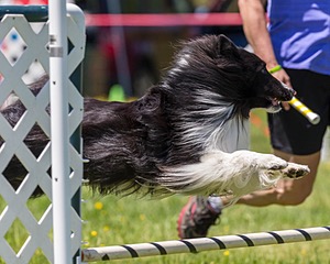 20170520-NEAT-1537.jpg