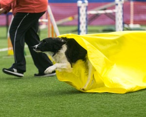 20150322-LEAP-0733.jpg