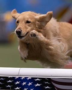 20260221-0156.jpg
