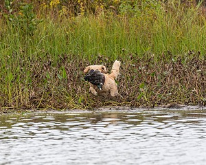20161008-WCXW-0010.jpg