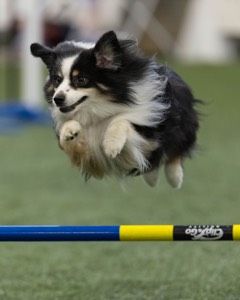 Brady Halladay