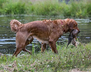 20130714-JHW-0012.jpg