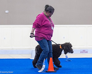 R10 - BALLYHOO'S V FINNEGAN MCNEILL BN FDC CA BCAT DS DJ CGCA TKN VHMA