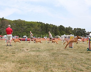 20150612-CCKCMC-0019.jpg